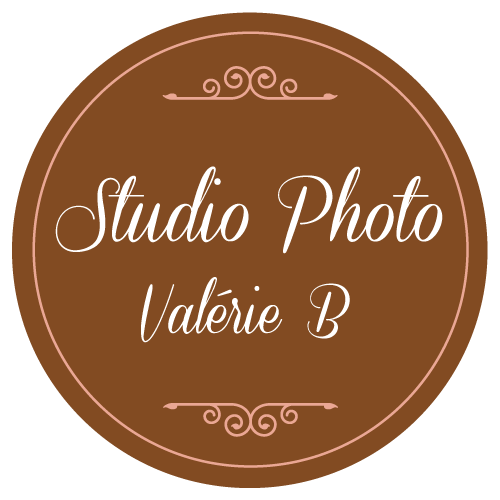 Logo studio photo valerie b