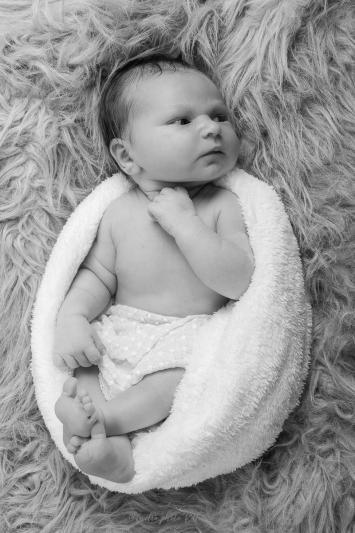 Photographe bebe commequiers