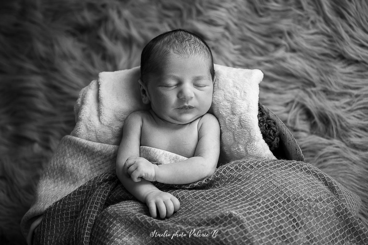 Photographe bebe le fenouiller 3