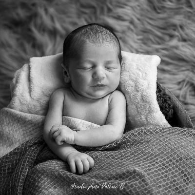 Photographe bebe le fenouiller 3