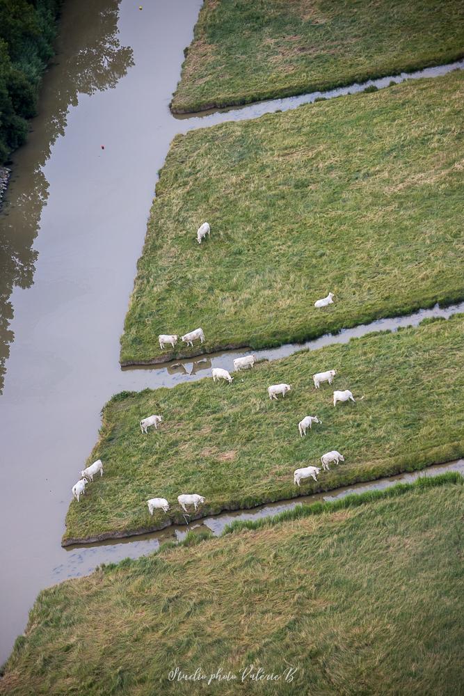 Photographe drone le fenouiller