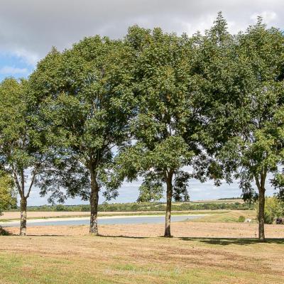 Photographe mariage grange du prieure