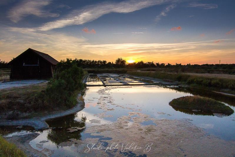 Marais de Saint Hilaire de Riez Studio photo Valérie B